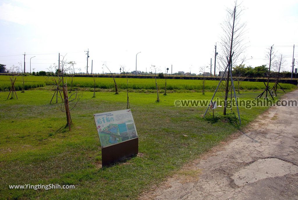 YTS_YTS_20190406_台南官田菱角村葫蘆埤自然公園／凌波吊橋Tainan Guantian Hulupi Natural Park078_539A0249.jpg