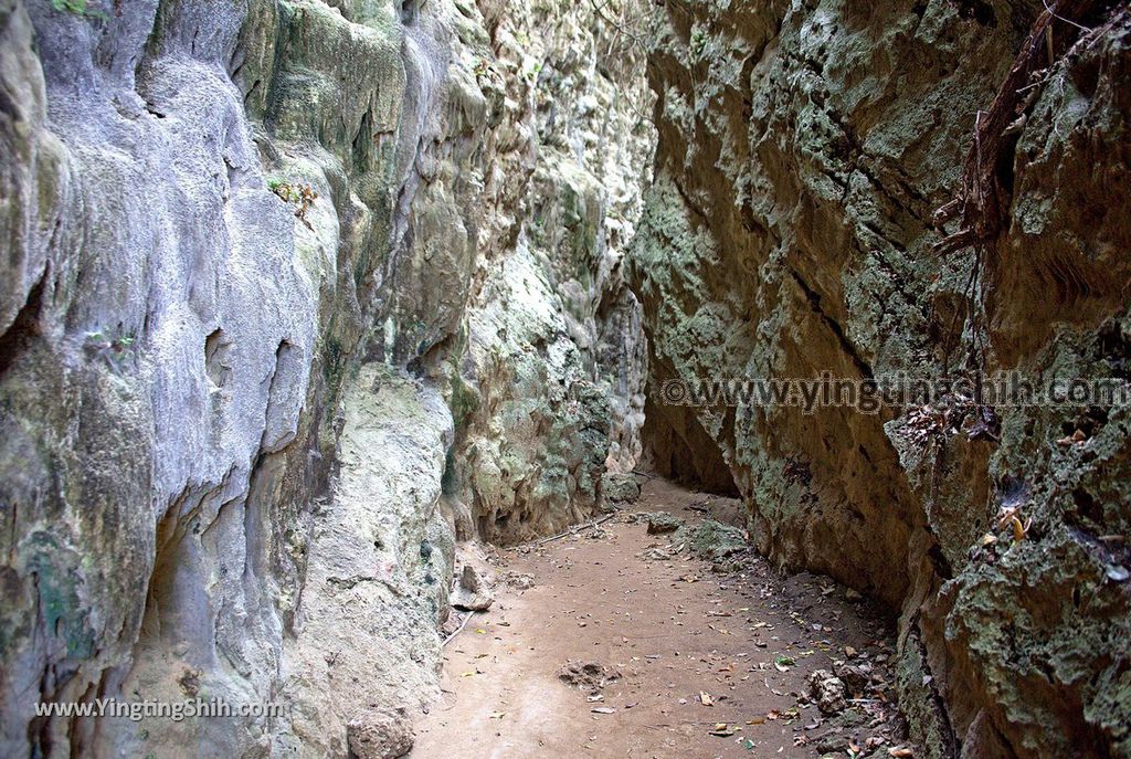 YTS_YTS_20190405_高雄田寮一線天／石母乳／情人洞／瘦身洞Kaohsiung Tianliao Thread Of Sky Cave044_539A8285.jpg