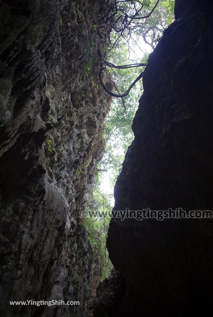 YTS_YTS_20190405_高雄田寮一線天／石母乳／情人洞／瘦身洞Kaohsiung Tianliao Thread Of Sky Cave051_539A8299.jpg