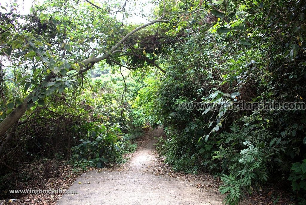 YTS_YTS_20190405_高雄田寮一線天／石母乳／情人洞／瘦身洞Kaohsiung Tianliao Thread Of Sky Cave065_539A8347.jpg