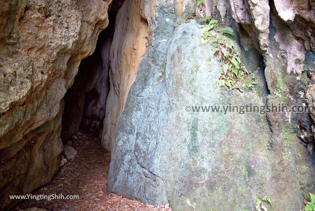 YTS_YTS_20190405_高雄田寮一線天／石母乳／情人洞／瘦身洞Kaohsiung Tianliao Thread Of Sky Cave074_539A8410.jpg