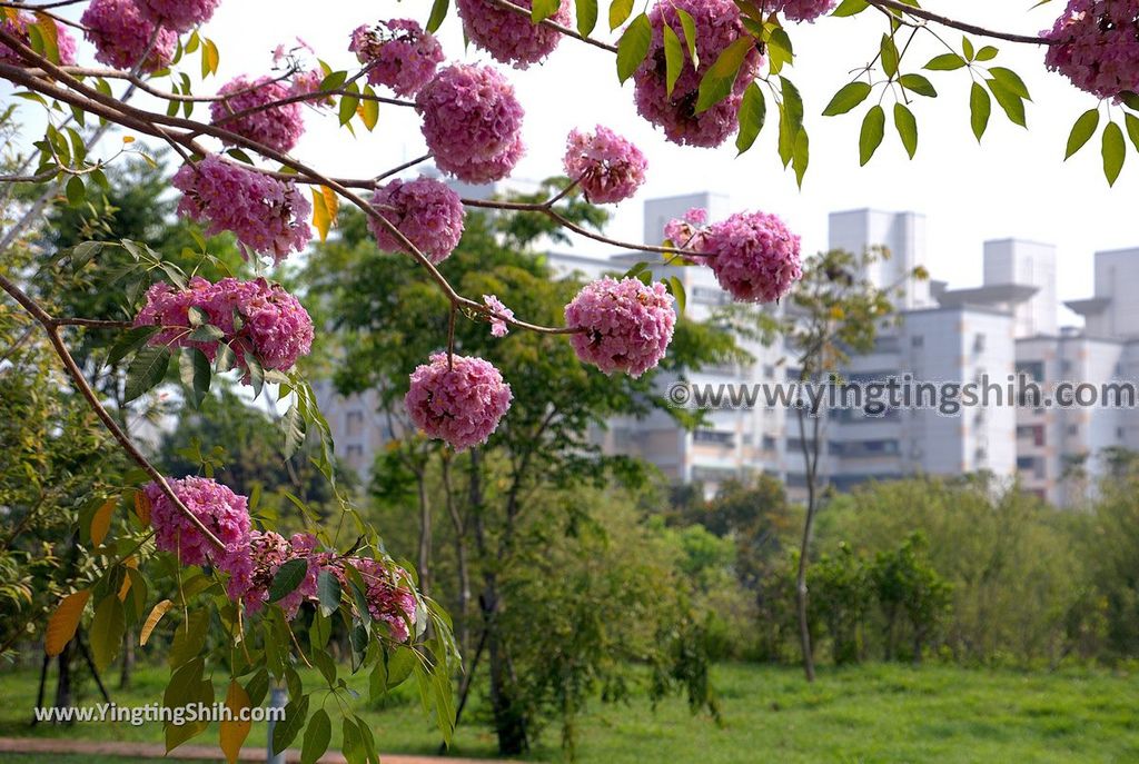 YTS_YTS_20190331_雲林斗六斗六藝術水岸園區Yunlin Douliu Art Waterfront Park048_539A7658.jpg