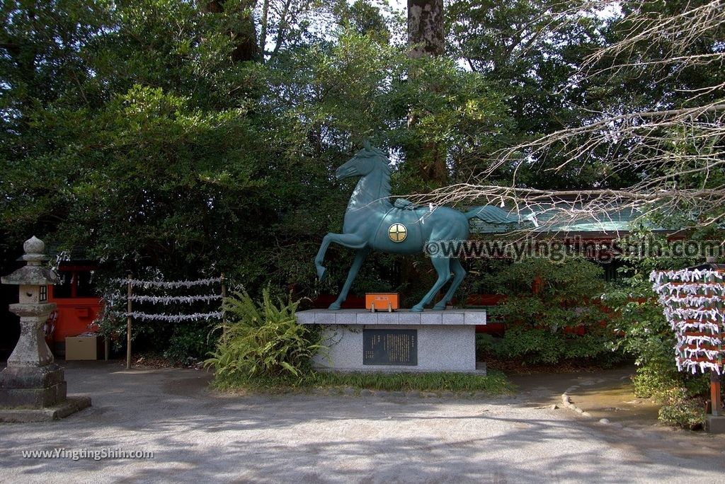 YTS_YTS_20190125_日本九州鹿兒島指宿薩摩國一之宮枚聞神社Japan Kagoshima Ibusuki Hiraki Ki Shrine032_3A5A6343.jpg