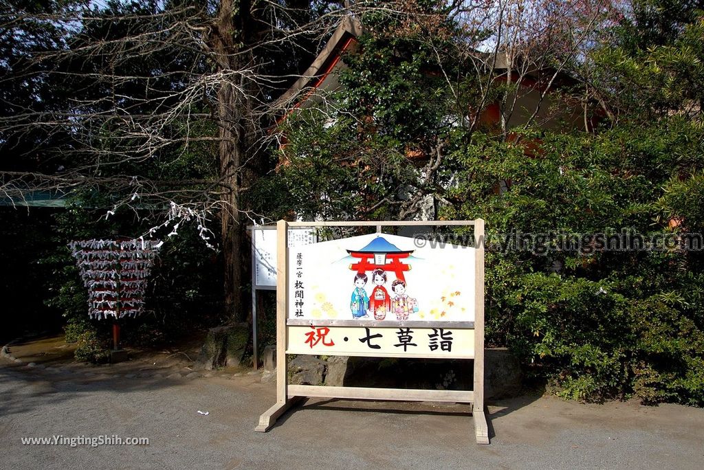 YTS_YTS_20190125_日本九州鹿兒島指宿薩摩國一之宮枚聞神社Japan Kagoshima Ibusuki Hiraki Ki Shrine029_3A5A6336.jpg