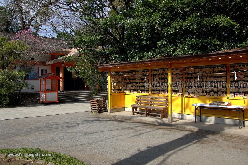 YTS_YTS_20190125_日本九州鹿兒島指宿薩摩國一之宮枚聞神社Japan Kagoshima Ibusuki Hiraki Ki Shrine056_3A5A6492.jpg