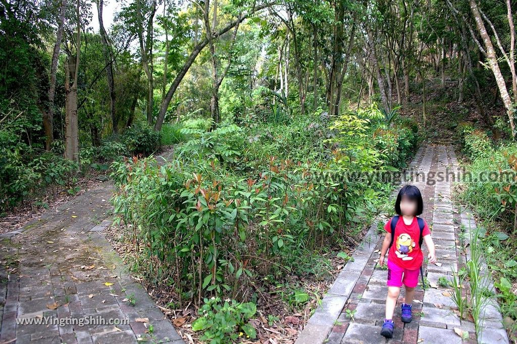 YTS_YTS_20190414_雲林古坑行大吊橋Yunlin Gukeng Xingda Suspension Bridge012_539A3759.jpg