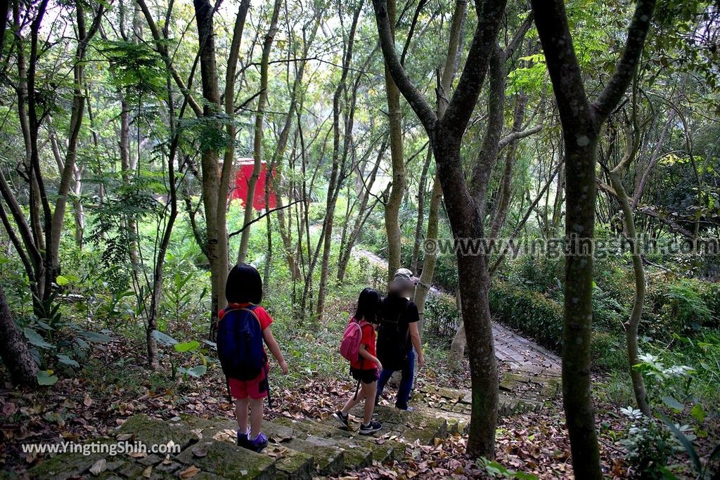 YTS_YTS_20190414_雲林古坑行大吊橋Yunlin Gukeng Xingda Suspension Bridge011_539A3755.jpg