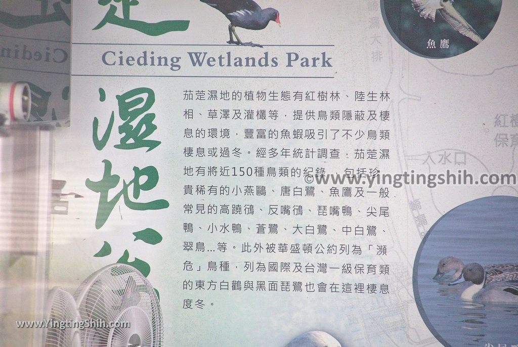 YTS_YTS_20190405_高雄茄萣茄萣濕地公園／竹滬鹽灘鹽警槍樓Kaohsiung Jiading Wetlands015_539A8525.jpg