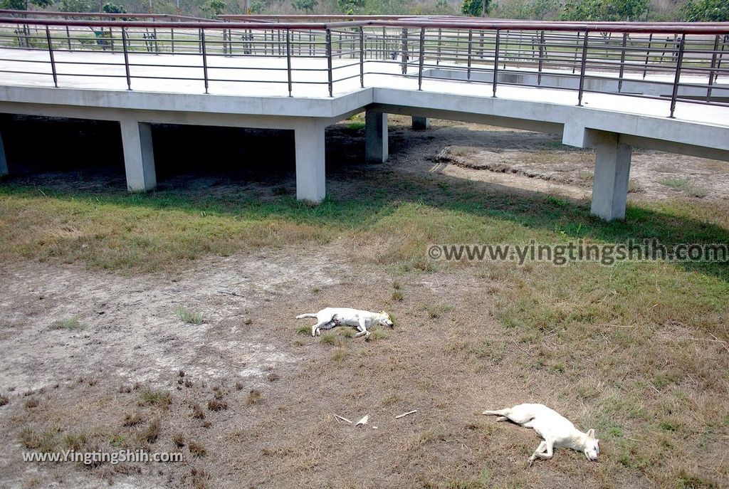 YTS_YTS_20190405_高雄茄萣茄萣濕地公園／竹滬鹽灘鹽警槍樓Kaohsiung Jiading Wetlands031_539A8823.jpg