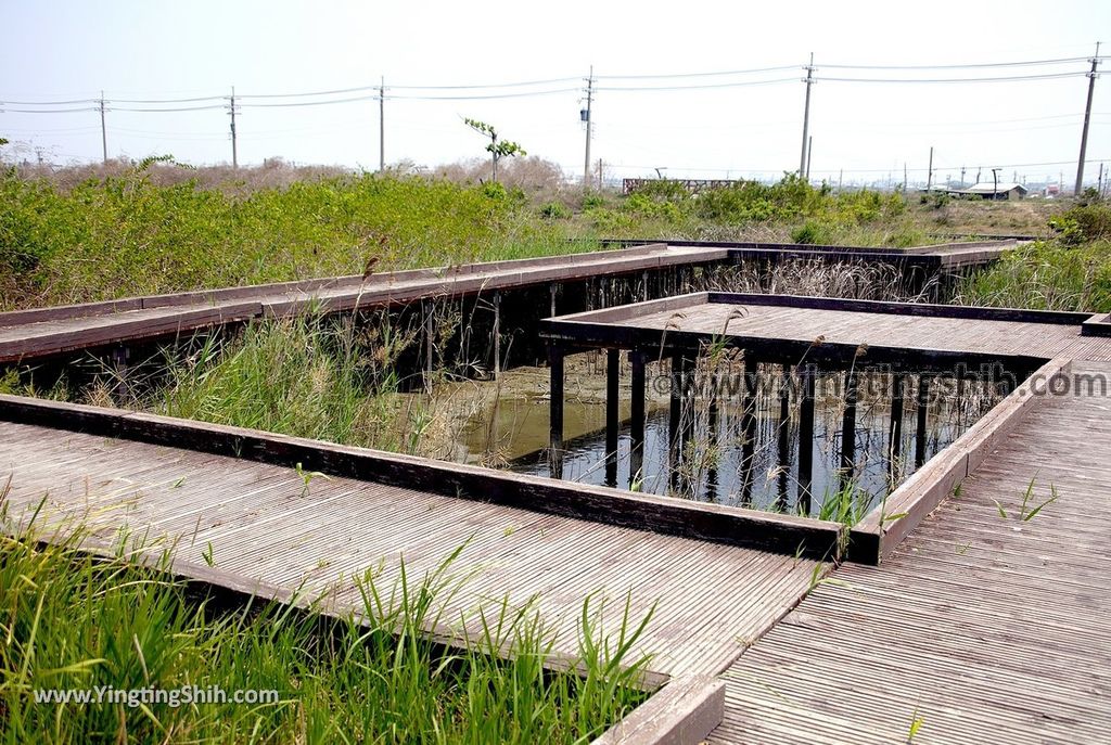 YTS_YTS_20190405_高雄茄萣茄萣濕地公園／竹滬鹽灘鹽警槍樓Kaohsiung Jiading Wetlands100_539A8909.jpg