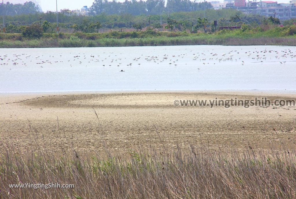 YTS_YTS_20190405_高雄茄萣茄萣濕地公園／竹滬鹽灘鹽警槍樓Kaohsiung Jiading Wetlands116_539A9053.jpg