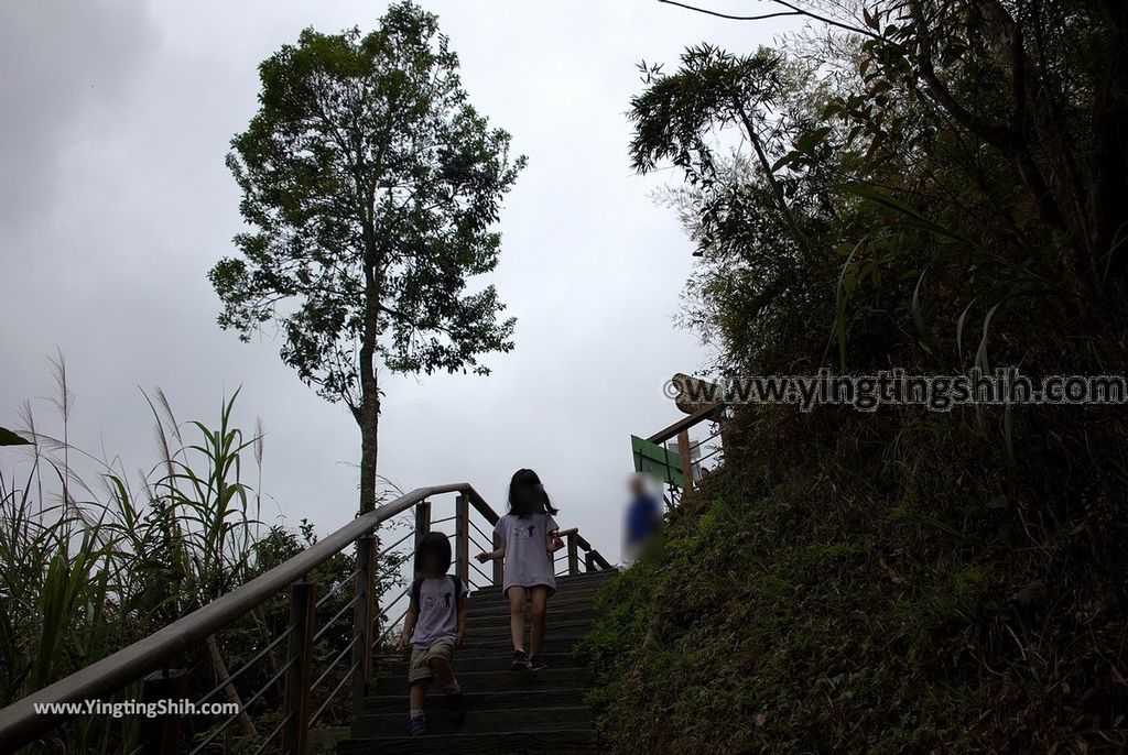 YTS_YTS_20190413_嘉義梅山太平雲梯／望風亭Chiayi Meishan Taiping Suspension Bridge105_539A2605.jpg