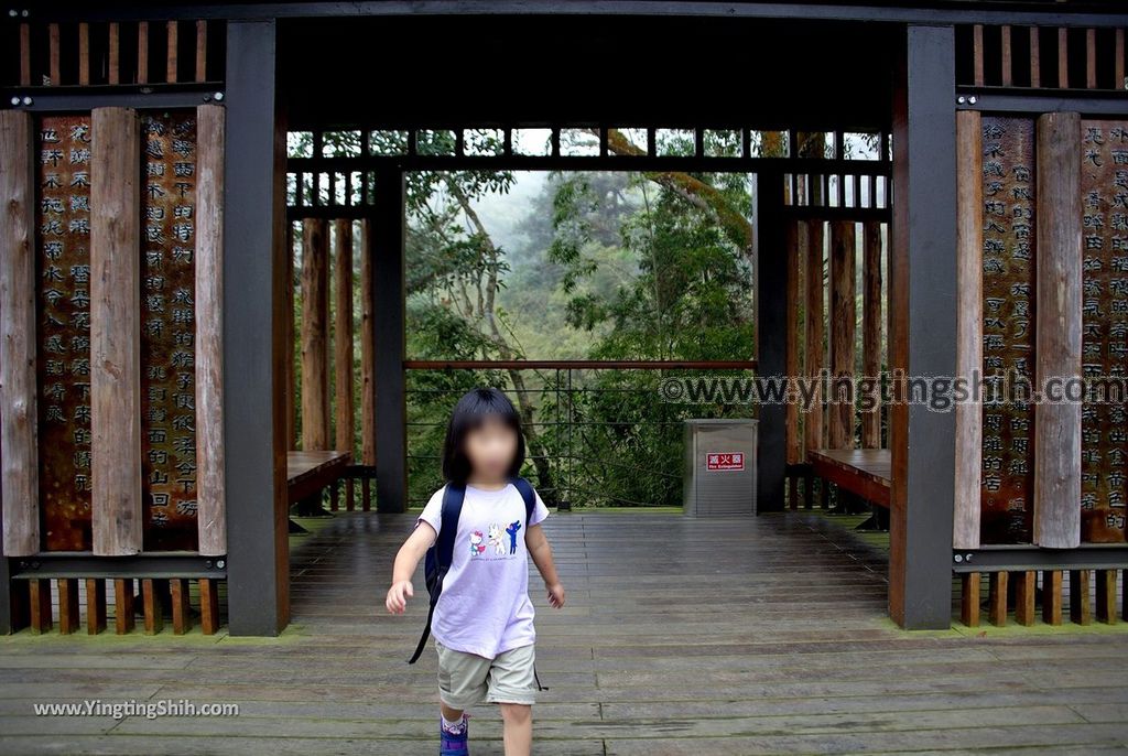 YTS_YTS_20190413_嘉義梅山雲之南道／孝子路步道Chiayi Meishan South Of The Cloud Trail034_539A1927.jpg