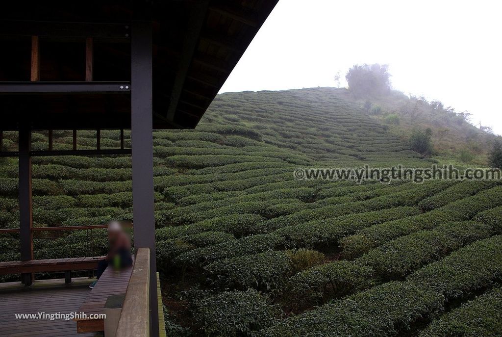 YTS_YTS_20190413_嘉義梅山雲之南道／孝子路步道Chiayi Meishan South Of The Cloud Trail052_539A2025.jpg