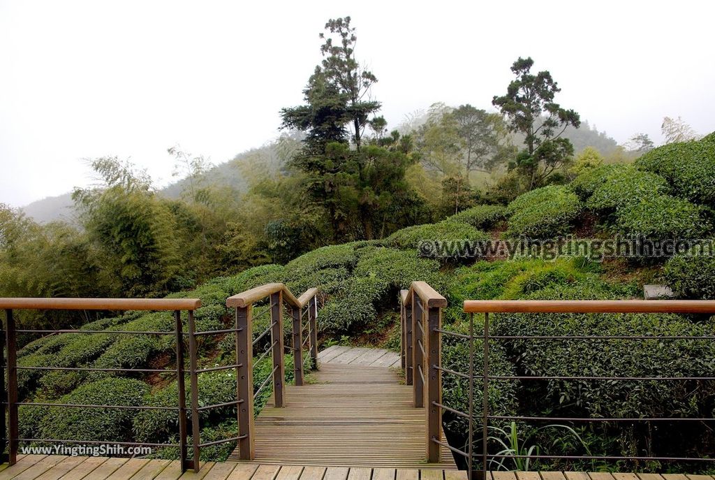 YTS_YTS_20190413_嘉義梅山雲之南道／孝子路步道Chiayi Meishan South Of The Cloud Trail058_539A2028.jpg