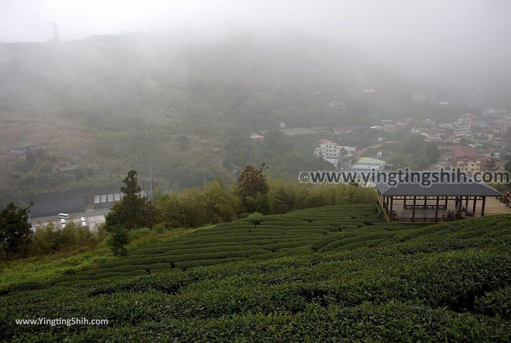 YTS_YTS_20190413_嘉義梅山雲之南道／孝子路步道Chiayi Meishan South Of The Cloud Trail061_539A2041.jpg