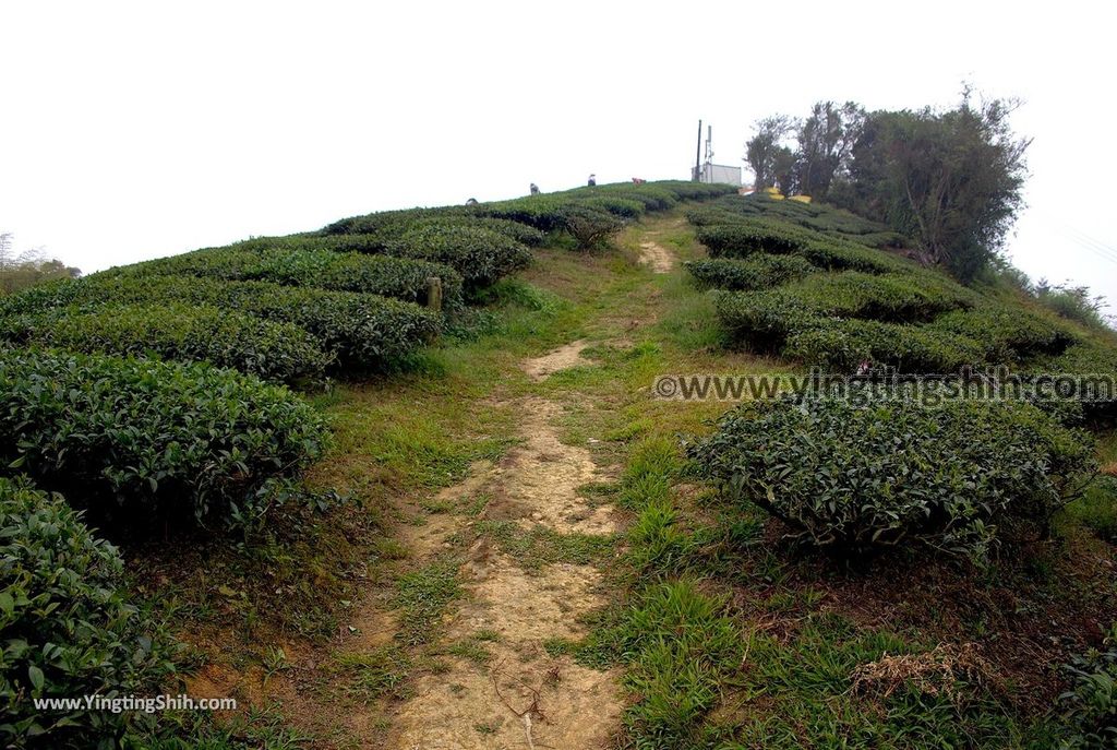 YTS_YTS_20190413_嘉義梅山雲之南道／孝子路步道Chiayi Meishan South Of The Cloud Trail068_539A2043.jpg