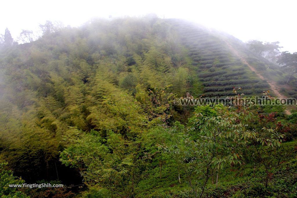 YTS_YTS_20190413_嘉義梅山雲之南道／孝子路步道Chiayi Meishan South Of The Cloud Trail082_539A2075.jpg