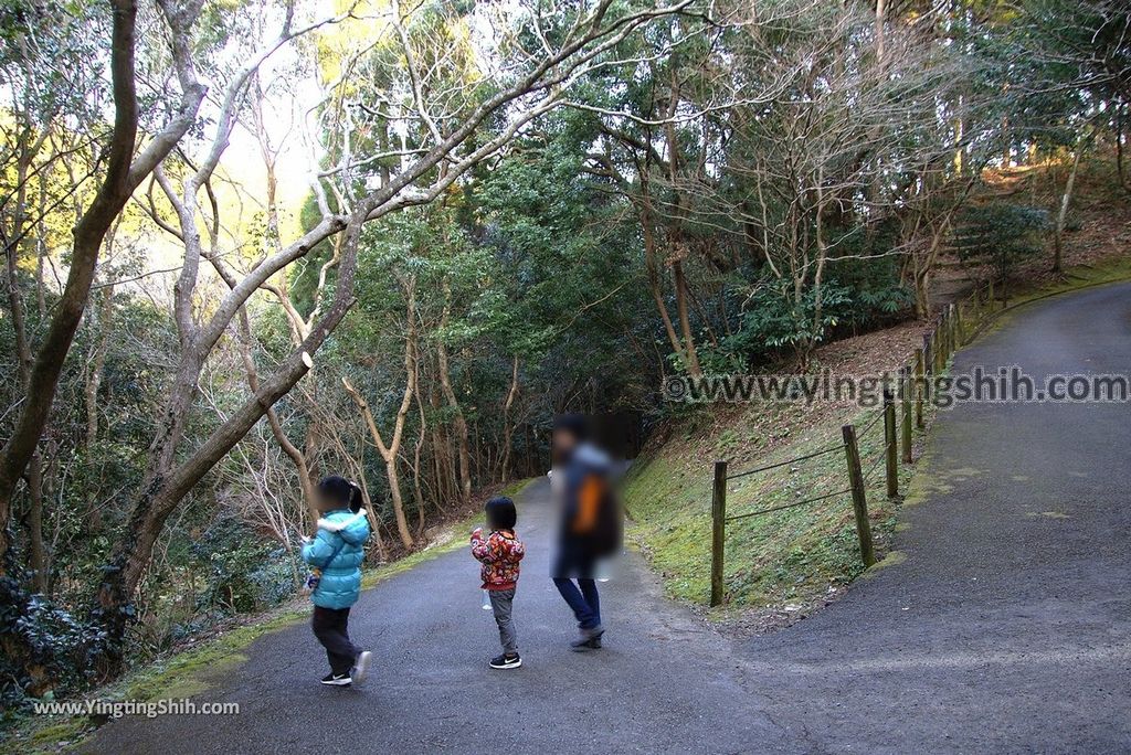 YTS_YTS_20190129_日本九州宮崎縣立平和台公園／攀岩溜滑梯Japan Kyushu Miyazaki Heiwadai Park044_3A5A5181.jpg