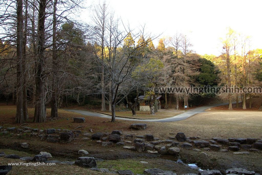 YTS_YTS_20190129_日本九州宮崎縣立平和台公園／攀岩溜滑梯Japan Kyushu Miyazaki Heiwadai Park046_3A5A5259.jpg