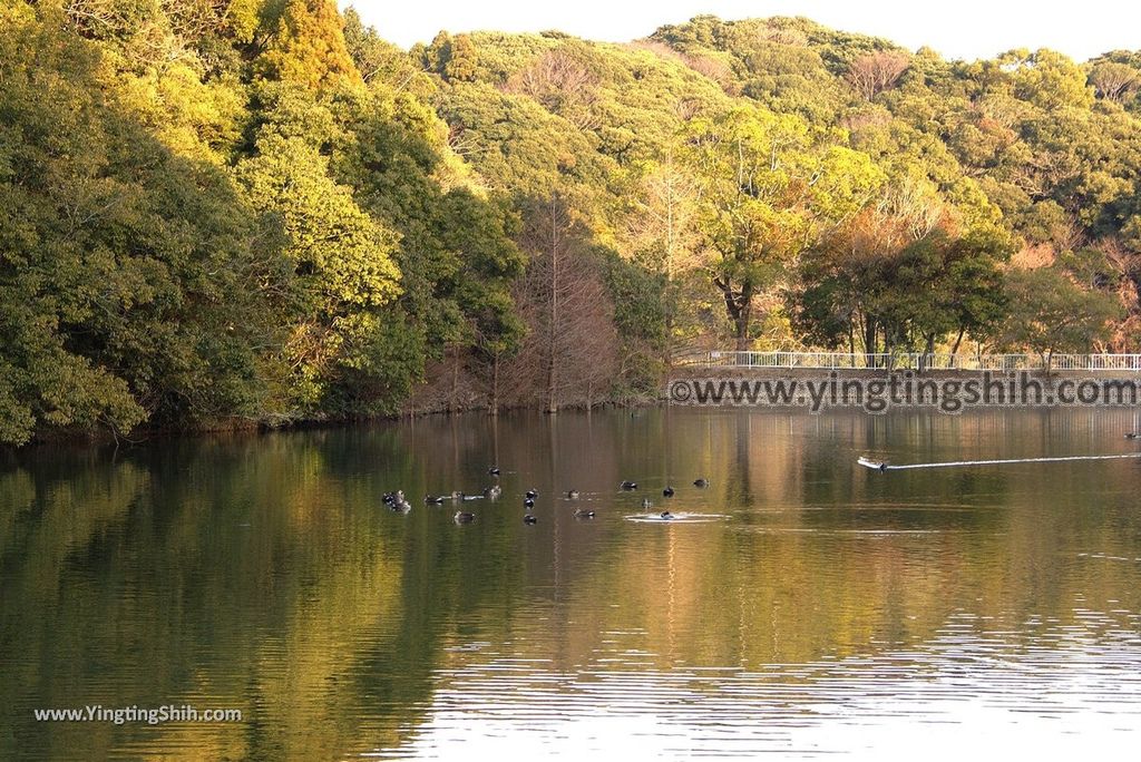 YTS_YTS_20190129_日本九州宮崎縣立平和台公園／攀岩溜滑梯Japan Kyushu Miyazaki Heiwadai Park057_3A5A5457.jpg