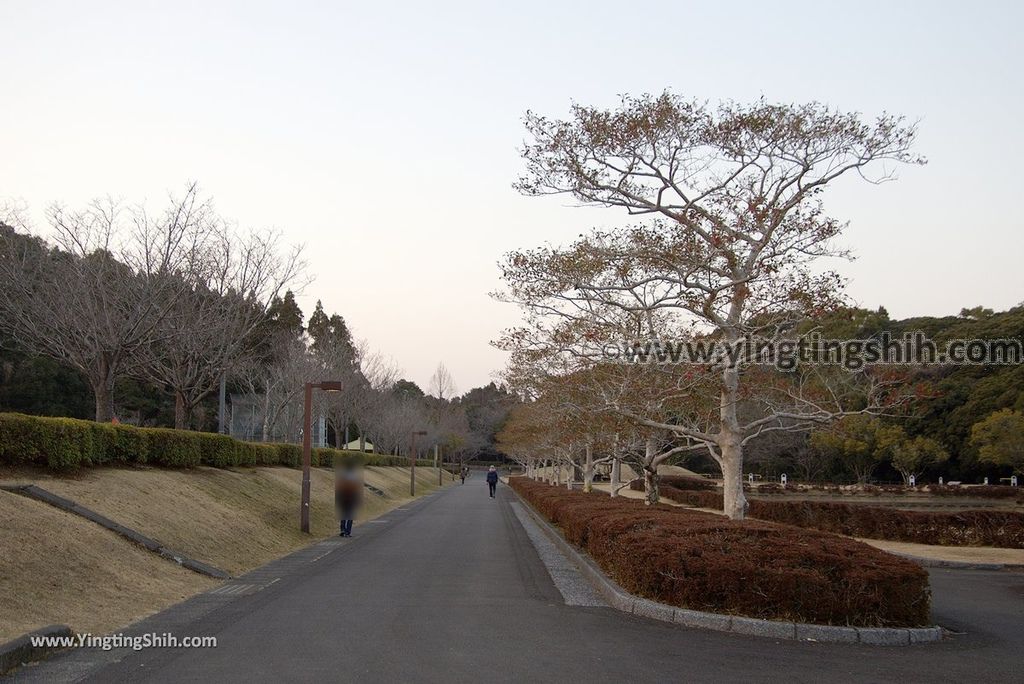 YTS_YTS_20190129_日本九州宮崎縣立平和台公園／攀岩溜滑梯Japan Kyushu Miyazaki Heiwadai Park093_3A5A6515.jpg