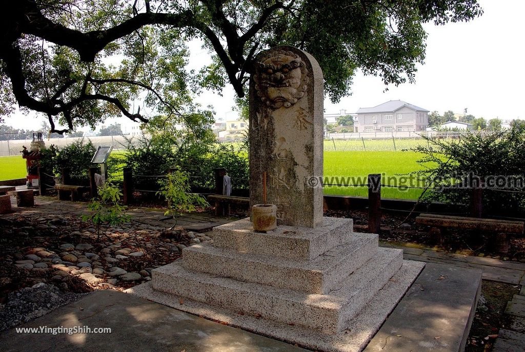 YTS_YTS_20190331_雲林莿桐六合村新庄路250年老樟樹石敢當Yunlin Citong Two Hundred And Fifty Years Old Camphor Tree021_539A7883.jpg