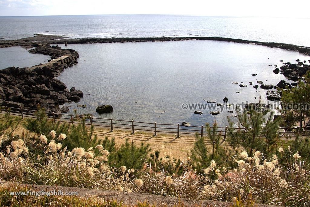 YTS_YTS_20190125_日本九州鹿兒島番所鼻自然公園／海馬的家Japan Kagoshima Bandokorobana Natural Park／Seahorse House020_3A5A6790.jpg