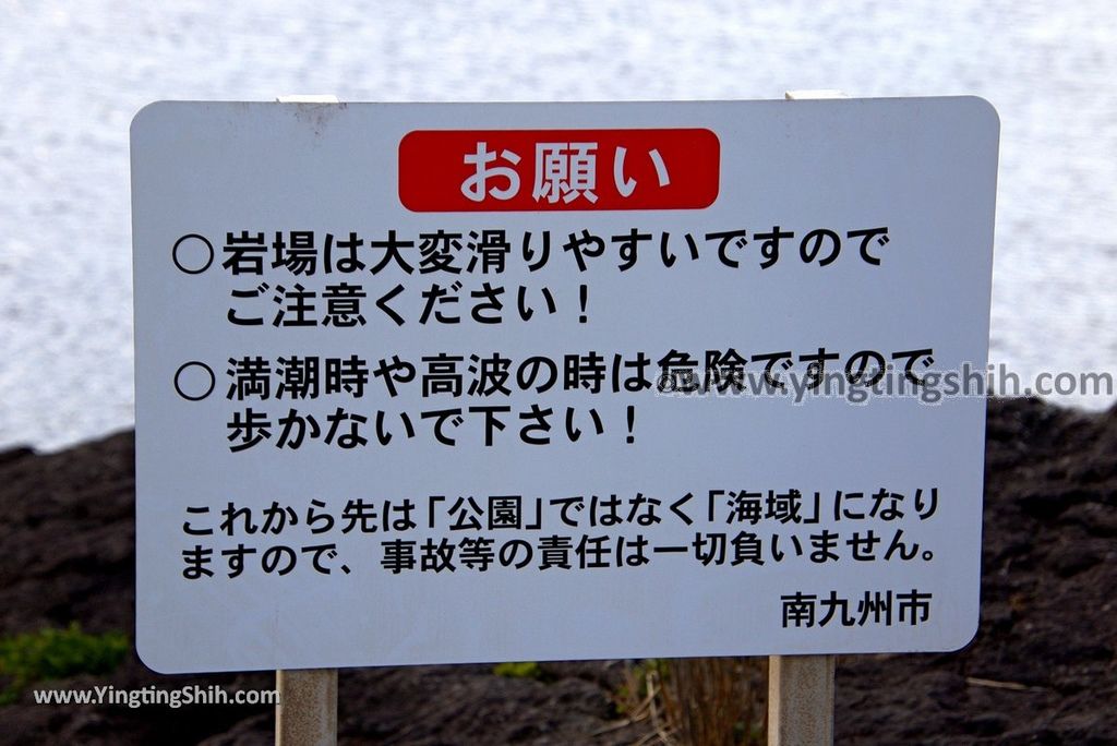 YTS_YTS_20190125_日本九州鹿兒島番所鼻自然公園／海馬的家Japan Kagoshima Bandokorobana Natural Park／Seahorse House029_3A5A6911.jpg