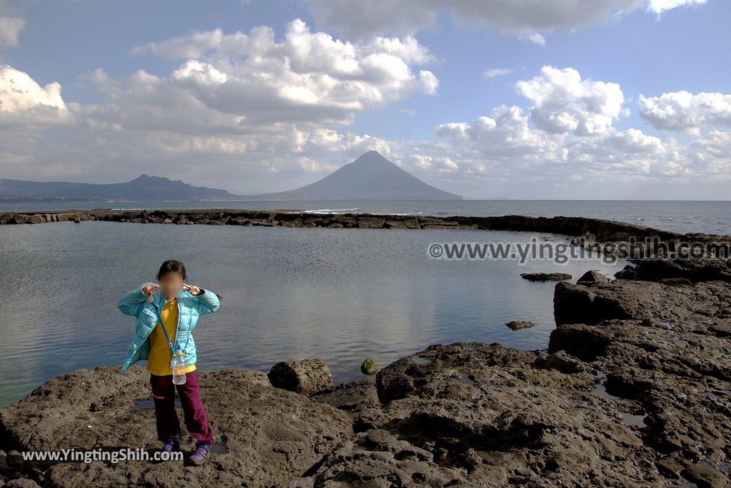 YTS_YTS_20190125_日本九州鹿兒島番所鼻自然公園／海馬的家Japan Kagoshima Bandokorobana Natural Park／Seahorse House046_3A5A7576.jpg