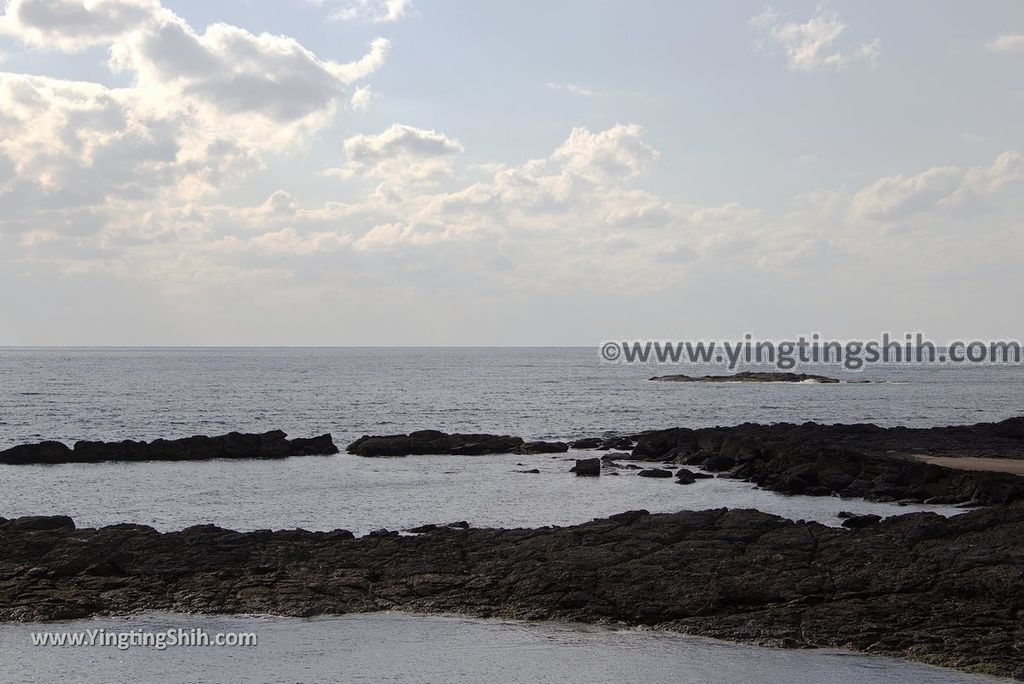 YTS_YTS_20190125_日本九州鹿兒島番所鼻自然公園／海馬的家Japan Kagoshima Bandokorobana Natural Park／Seahorse House093_3A5A8459.jpg