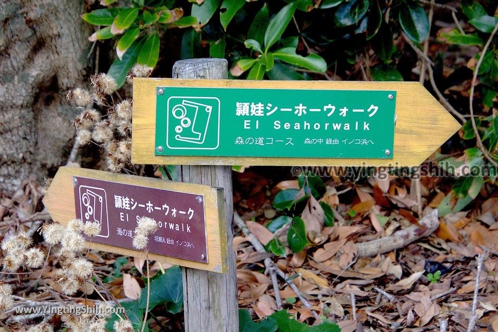 YTS_YTS_20190125_日本九州鹿兒島番所鼻自然公園／海馬的家Japan Kagoshima Bandokorobana Natural Park／Seahorse House124_3A5A8505.jpg