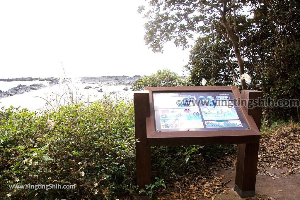 YTS_YTS_20190125_日本九州鹿兒島番所鼻自然公園／海馬的家Japan Kagoshima Bandokorobana Natural Park／Seahorse House128_3A5A8521.jpg