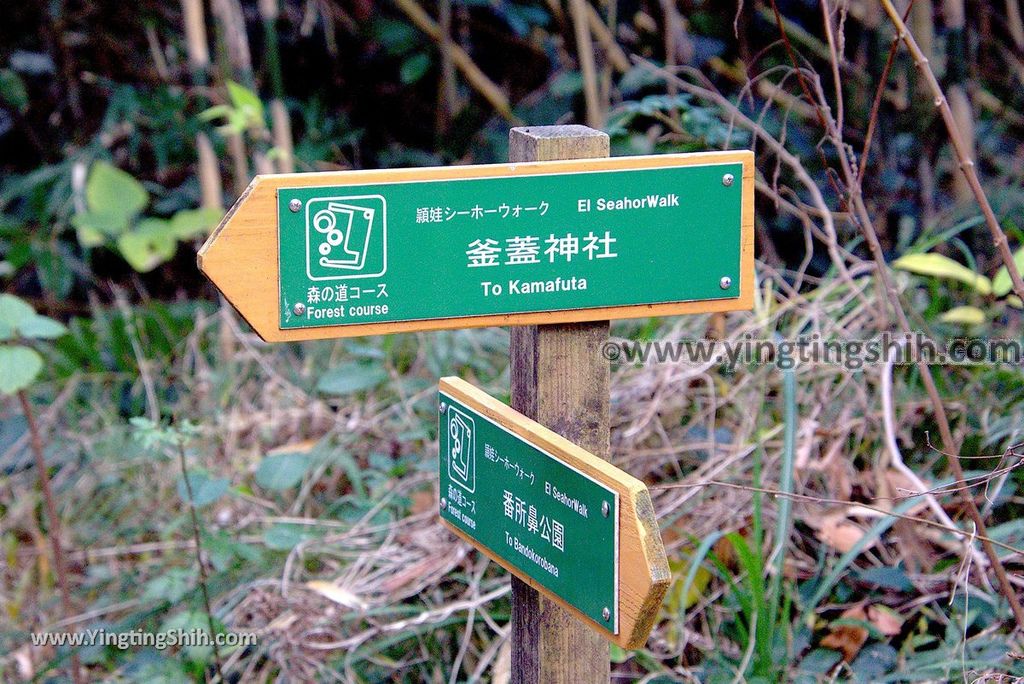 YTS_YTS_20190125_日本九州鹿兒島番所鼻自然公園／海馬的家Japan Kagoshima Bandokorobana Natural Park／Seahorse House126_3A5A8512.jpg