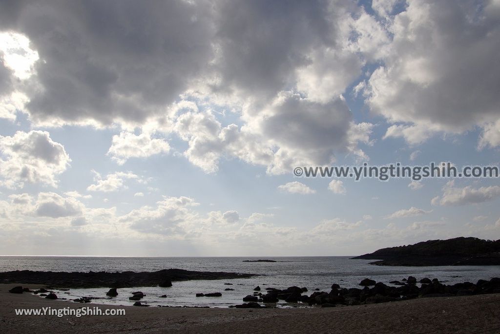 YTS_YTS_20190125_日本九州鹿兒島番所鼻自然公園／海馬的家Japan Kagoshima Bandokorobana Natural Park／Seahorse House130_3A5A8535.jpg