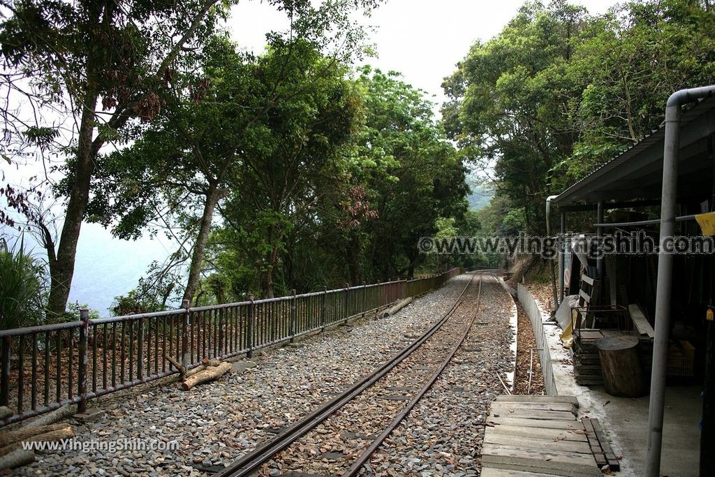 YTS_YTS_20190413_嘉義竹崎獨立山車站／步道／阿里山林業鐵路Chiayi Zhuqi Dulishan Station／Alishan Forest Railway023_539A3142.jpg