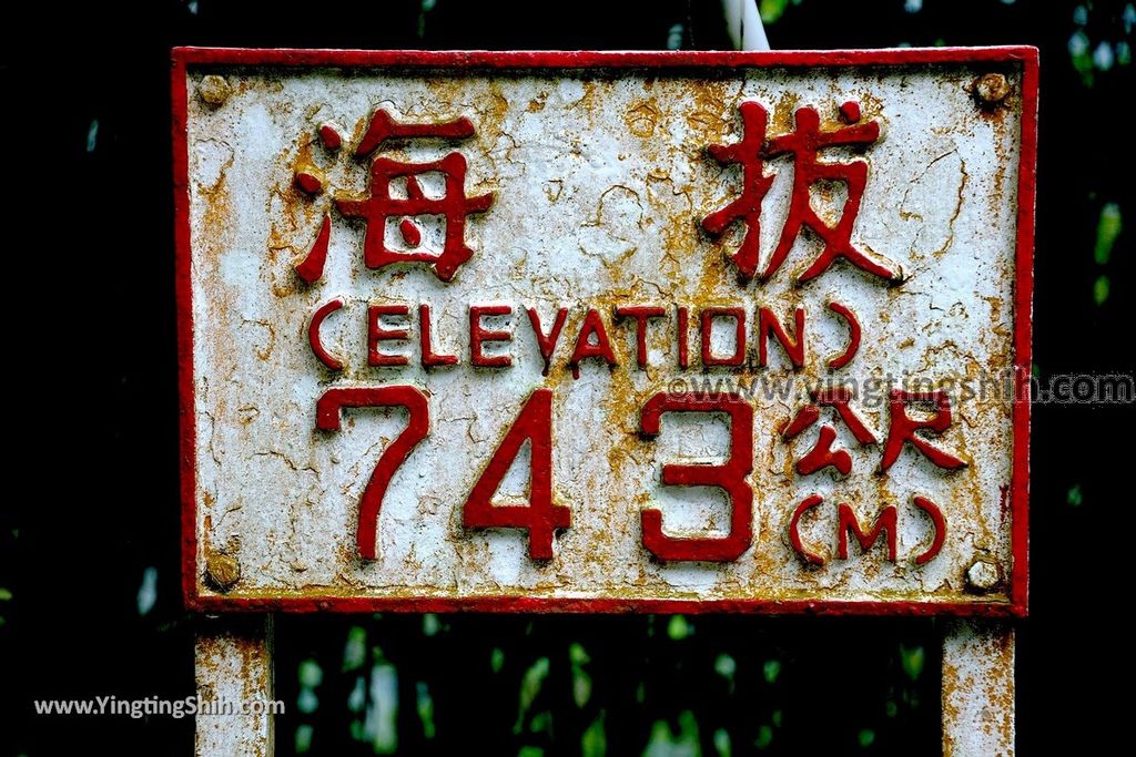 YTS_YTS_20190413_嘉義竹崎獨立山車站／步道／阿里山林業鐵路Chiayi Zhuqi Dulishan Station／Alishan Forest Railway040_539A3176.jpg