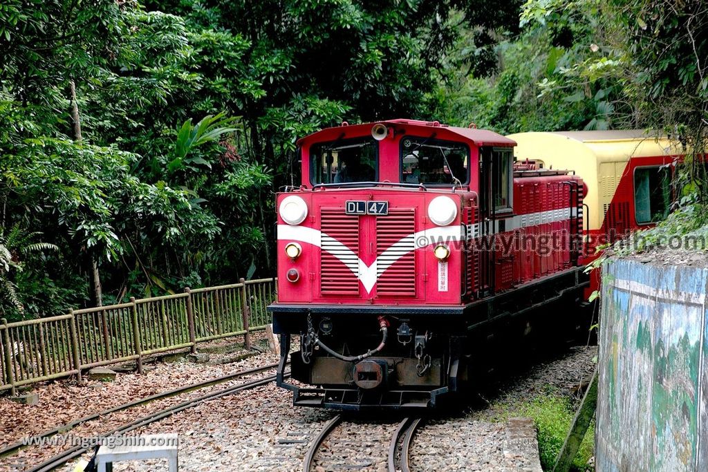 YTS_YTS_20190413_嘉義竹崎獨立山車站／步道／阿里山林業鐵路Chiayi Zhuqi Dulishan Station／Alishan Forest Railway057_539A3199.jpg