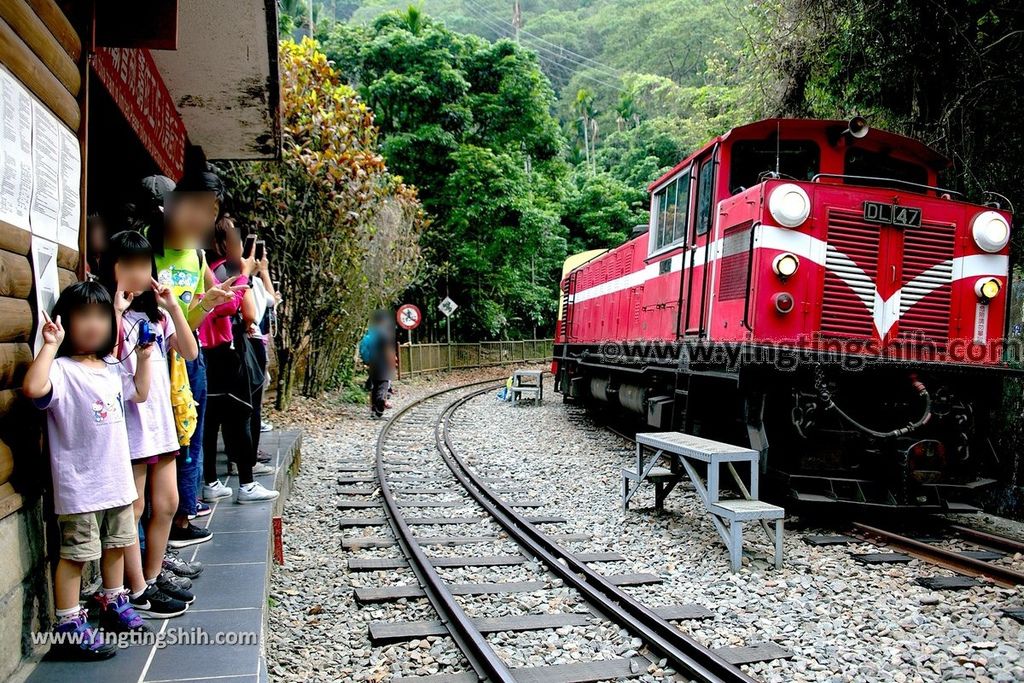 YTS_YTS_20190413_嘉義竹崎獨立山車站／步道／阿里山林業鐵路Chiayi Zhuqi Dulishan Station／Alishan Forest Railway058_539A3215.jpg