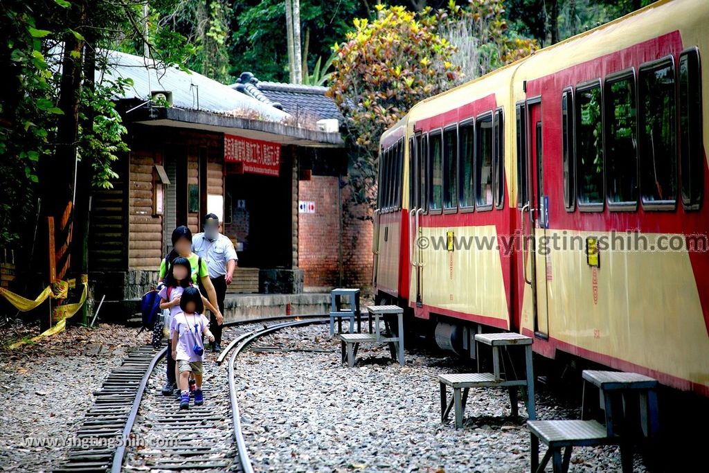 YTS_YTS_20190413_嘉義竹崎獨立山車站／步道／阿里山林業鐵路Chiayi Zhuqi Dulishan Station／Alishan Forest Railway066_539A3298.jpg