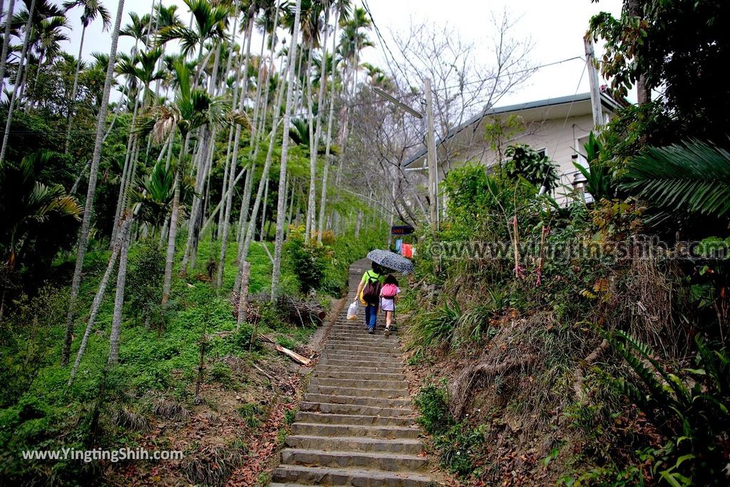 YTS_YTS_20190413_嘉義竹崎獨立山車站／步道／阿里山林業鐵路Chiayi Zhuqi Dulishan Station／Alishan Forest Railway076_539A3416.jpg