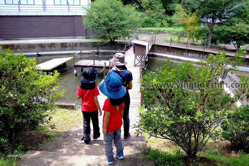 YTS_YTS_20180810_Japan Kyushu Oita Inazumi日本九州大分稲積水中鍾乳洞（日本最大水中鍾乳石洞）／昇龍大觀音／名水百選白川山190_3A5A9093.jpg