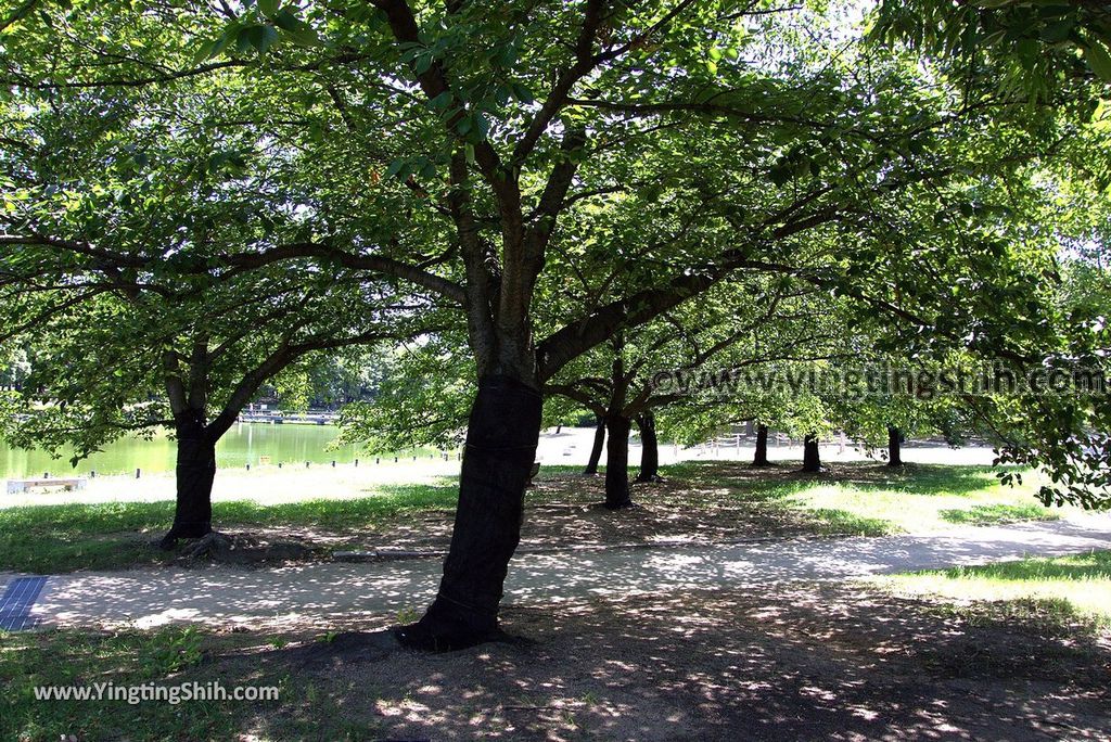 YTS_YTS_20180722_日本關西大阪百舌鳥古墳群／世界三大墳墓／大仙公園Japan Kansai Osaka Mozu Tombs／Daisen Park085_3A5A7310.jpg