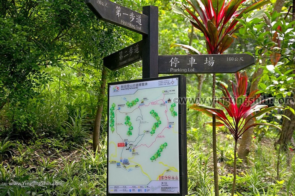 YTS_YTS_20190427_台中潭子新田登山步道／許願池／觀鷹台Taichung Tanzi Xintian Hiking Trail026_539A5560.jpg