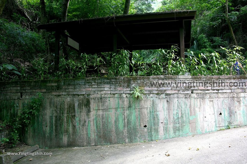 YTS_YTS_20190427_台中潭子新田登山步道／許願池／觀鷹台Taichung Tanzi Xintian Hiking Trail028_539A5562.jpg