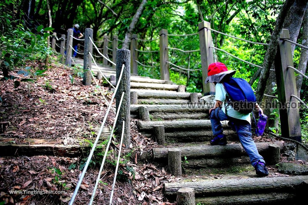 YTS_YTS_20190427_台中潭子新田登山步道／許願池／觀鷹台Taichung Tanzi Xintian Hiking Trail030_539A5564.jpg