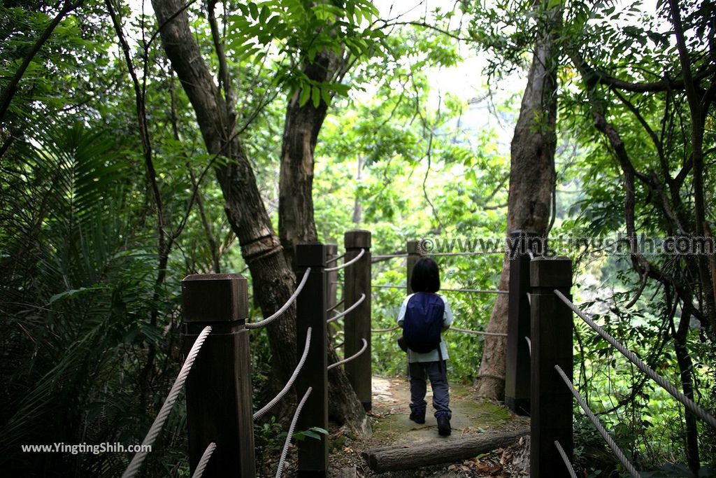 YTS_YTS_20190427_台中潭子新田登山步道／許願池／觀鷹台Taichung Tanzi Xintian Hiking Trail038_539A5595.jpg