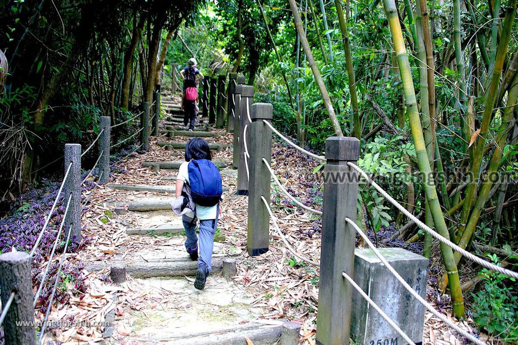 YTS_YTS_20190427_台中潭子新田登山步道／許願池／觀鷹台Taichung Tanzi Xintian Hiking Trail043_539A5600.jpg