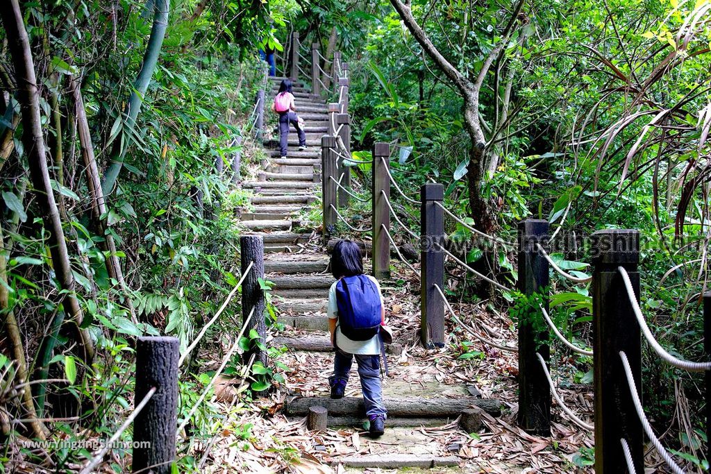 YTS_YTS_20190427_台中潭子新田登山步道／許願池／觀鷹台Taichung Tanzi Xintian Hiking Trail045_539A5602.jpg