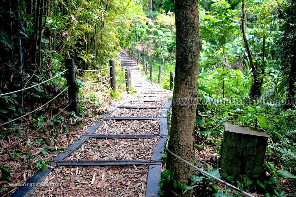 YTS_YTS_20190427_台中潭子新田登山步道／許願池／觀鷹台Taichung Tanzi Xintian Hiking Trail050_539A5610.jpg